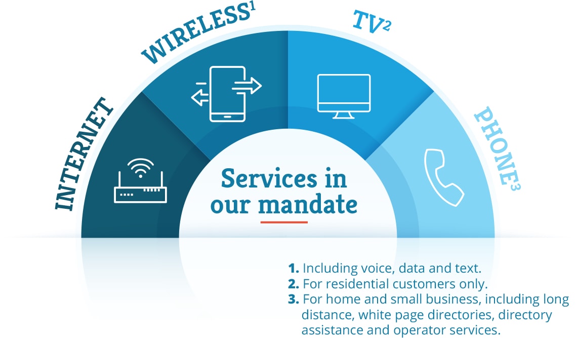 Services in our mandate: 1. Internet 2. Wireless, including voice, data and text 3. TV, for residential customers only 4. Phone, for home and small business, including long distance, white page directories, directory assistance and operator services